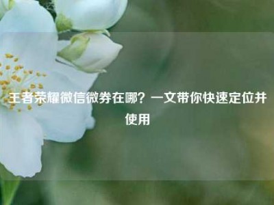 王者荣耀微信微券在哪？一文带你快速定位并使用