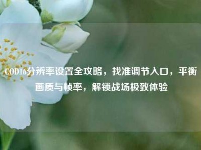 COD16分辨率设置全攻略，找准调节入口，平衡画质与帧率，解锁战场极致体验
