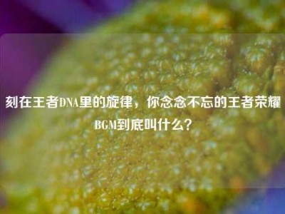 刻在王者DNA里的旋律，你念念不忘的王者荣耀BGM到底叫什么？