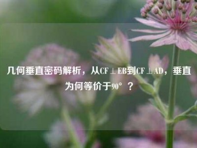 几何垂直密码解析，从CF⊥EB到CF⊥AD，垂直为何等价于90°？