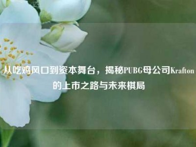 从吃鸡风口到资本舞台，揭秘PUBG母公司Krafton的上市之路与未来棋局