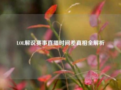 LOL解说赛事直播时间差真相全解析