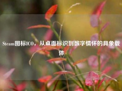 Steam图标ICO，从桌面标识到数字情怀的具象载体