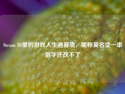 Steam ID里的游戏人生遇窘境，昵称莫名变一串数字还改不了