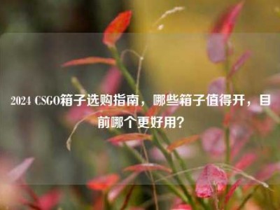 2024 CSGO箱子选购指南，哪些箱子值得开，目前哪个更好用？