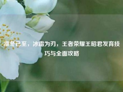 凛冬已至，冰霜为刃，王者荣耀王昭君发育技巧与全面攻略