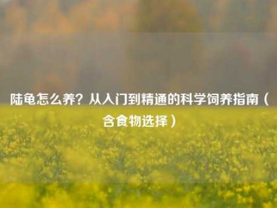 陆龟怎么养？从入门到精通的科学饲养指南（含食物选择）