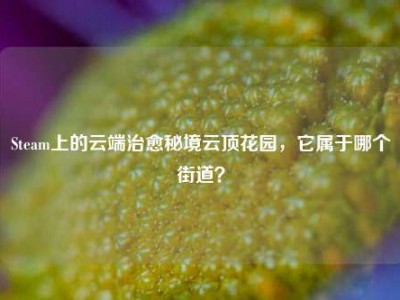 Steam上的云端治愈秘境云顶花园，它属于哪个街道？