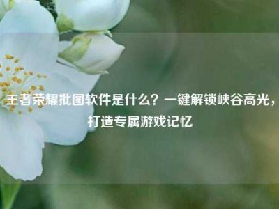 王者荣耀批图软件是什么？一键解锁峡谷高光，打造专属游戏记忆