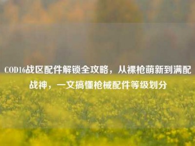 COD16战区配件解锁全攻略，从裸枪萌新到满配战神，一文搞懂枪械配件等级划分