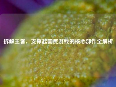 拆解王者，支撑起国民游戏的核心部件全解析