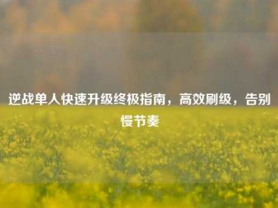 逆战单人快速升级终极指南，高效刷级，告别慢节奏