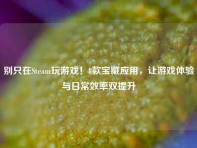 别只在Steam玩游戏！8款宝藏应用，让游戏体验与日常效率双提升