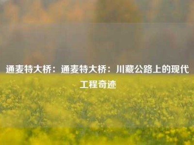 通麦特大桥：通麦特大桥：川藏公路上的现代工程奇迹