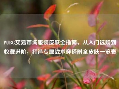 PUBG交易市场服装皮肤全指南，从入门选购到收藏进阶，打造专属战术穿搭附全皮肤一览表