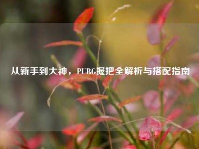 从新手到大神，PUBG握把全解析与搭配指南
