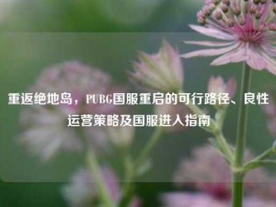 重返绝地岛，PUBG国服重启的可行路径、良性运营策略及国服进入指南