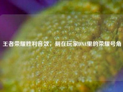 王者荣耀胜利音效，刻在玩家DNA里的荣耀号角