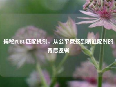 揭秘PUBG匹配机制，从公平竞技到精准配对的背后逻辑