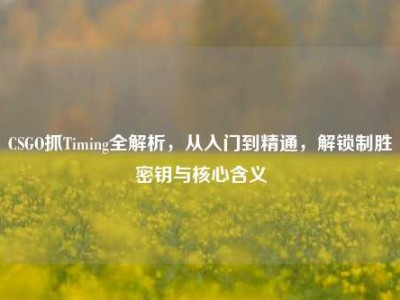CSGO抓Timing全解析，从入门到精通，解锁制胜密钥与核心含义