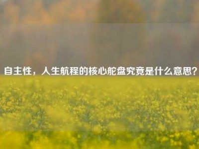自主性，人生航程的核心舵盘究竟是什么意思？