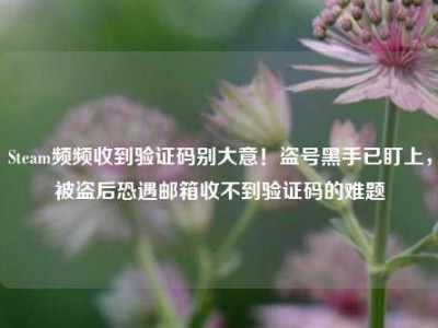 Steam频频收到验证码别大意！盗号黑手已盯上，被盗后恐遇邮箱收不到验证码的难题