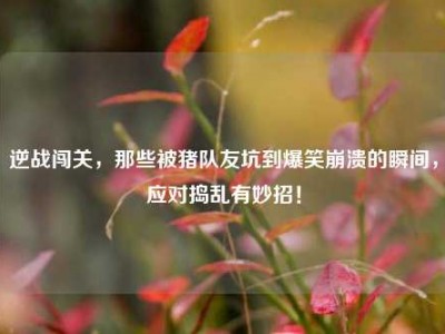 逆战闯关，那些被猪队友坑到爆笑崩溃的瞬间，应对捣乱有妙招！