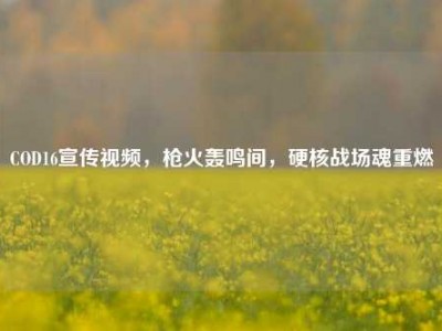 COD16宣传视频，枪火轰鸣间，硬核战场魂重燃