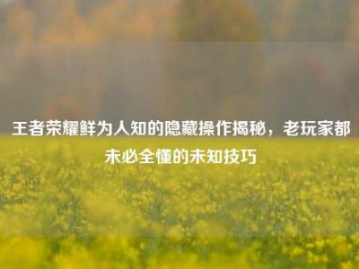 王者荣耀鲜为人知的隐藏操作揭秘，老玩家都未必全懂的未知技巧