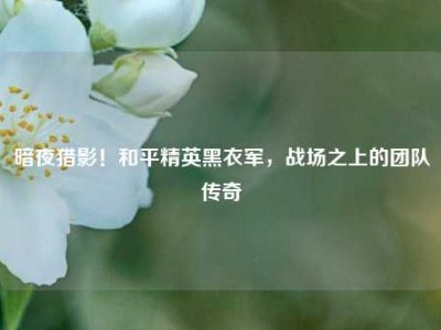 暗夜猎影！和平精英黑衣军，战场之上的团队传奇