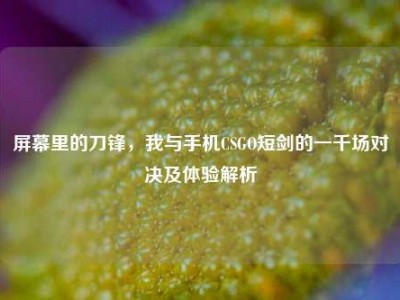 屏幕里的刀锋，我与手机CSGO短剑的一千场对决及体验解析