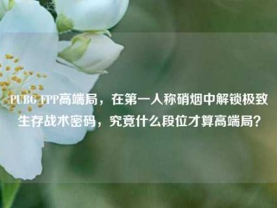 PUBG FPP高端局，在第一人称硝烟中解锁极致生存战术密码，究竟什么段位才算高端局？