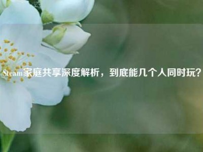 Steam家庭共享深度解析，到底能几个人同时玩？