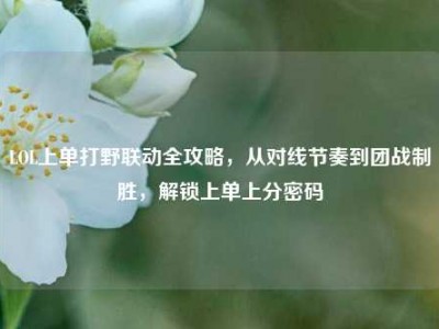 LOL上单打野联动全攻略，从对线节奏到团战制胜，解锁上单上分密码