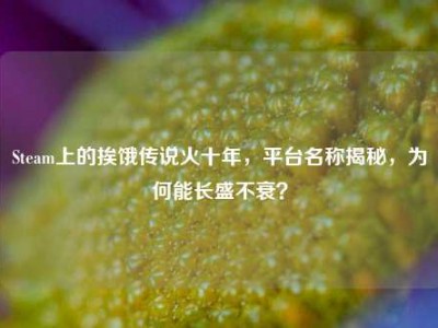 Steam上的挨饿传说火十年，平台名称揭秘，为何能长盛不衰？