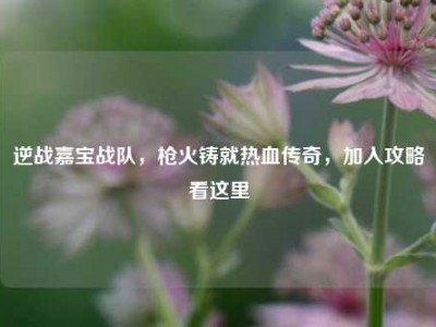 逆战嘉宝战队，枪火铸就热血传奇，加入攻略看这里