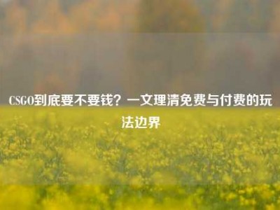 CSGO到底要不要钱？一文理清免费与付费的玩法边界