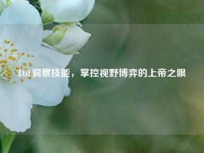 LOL洞察技能，掌控视野博弈的上帝之眼