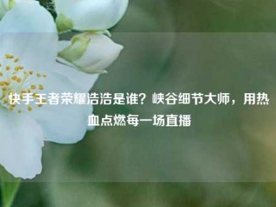 快手王者荣耀浩浩是谁？峡谷细节大师，用热血点燃每一场直播