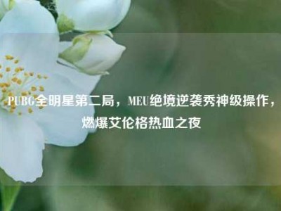 PUBG全明星第二局，MEU绝境逆袭秀神级操作，燃爆艾伦格热血之夜