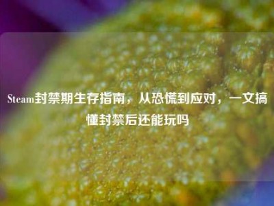 Steam封禁期生存指南，从恐慌到应对，一文搞懂封禁后还能玩吗