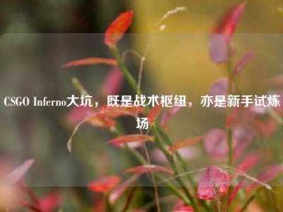 CSGO Inferno大坑，既是战术枢纽，亦是新手试炼场