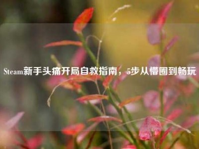 Steam新手头痛开局自救指南，5步从懵圈到畅玩