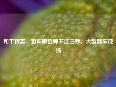 和平精英，狙神瞬狙帅不过三秒，大型翻车现场