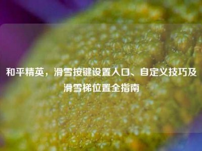 和平精英，滑雪按键设置入口、自定义技巧及滑雪梯位置全指南