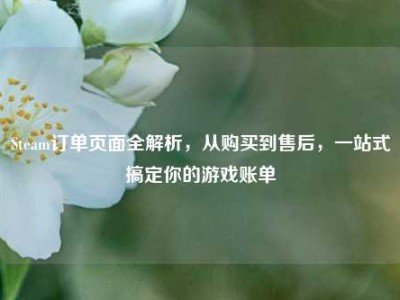 Steam订单页面全解析，从购买到售后，一站式搞定你的游戏账单