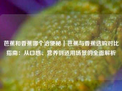 芭蕉和香蕉哪个治便秘｜芭蕉与香蕉选购对比指南：从口感、营养到适用场景的全面解析