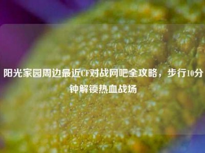 阳光家园周边最近CF对战网吧全攻略，步行10分钟解锁热血战场