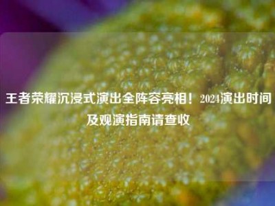王者荣耀沉浸式演出全阵容亮相！2024演出时间及观演指南请查收