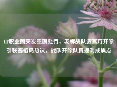 CF职业圈突发重磅处罚，老牌战队遭官方开除引联赛格局热议，战队开除队员规则成焦点